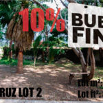 Lot For Sale in Ajijic
