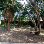 Lot For Sale in Ajijic