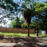 Lot For Sale in Ajijic