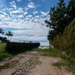 Lot For Sale in Ajijic