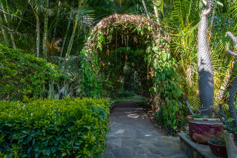 Home For Sale Ajijic