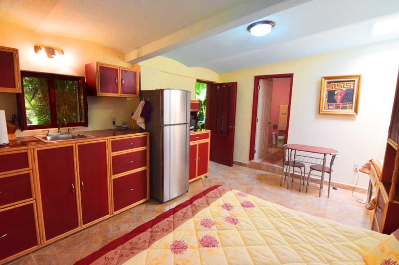 Home For Sale Ajijic