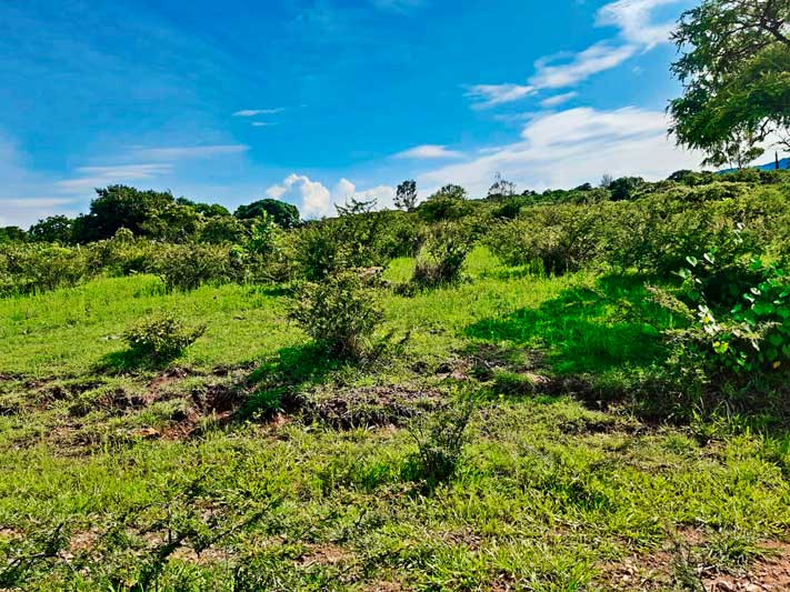 Lot for sale in Ixtlahuacan de los Membrillos