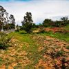 Lot for sale in Ixtlahuacan de los Membrillos