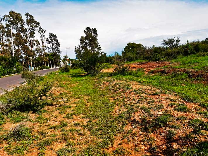 Lot for sale in Ixtlahuacan de los Membrillos