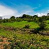 Lot for sale in Ixtlahuacan de los Membrillos