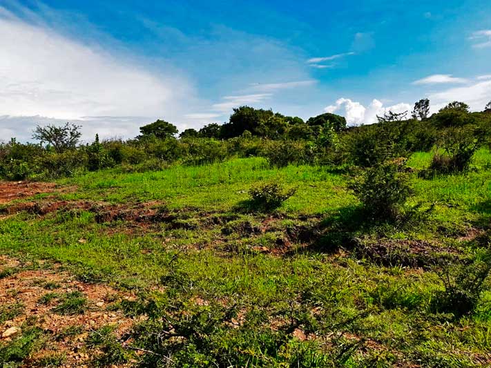 Lot for sale in Ixtlahuacan de los Membrillos