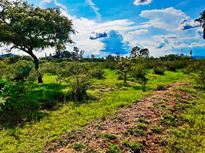 Lot for sale in Ixtlahuacan de los Membrillos