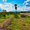 Lot for sale in Ixtlahuacan de los Membrillos