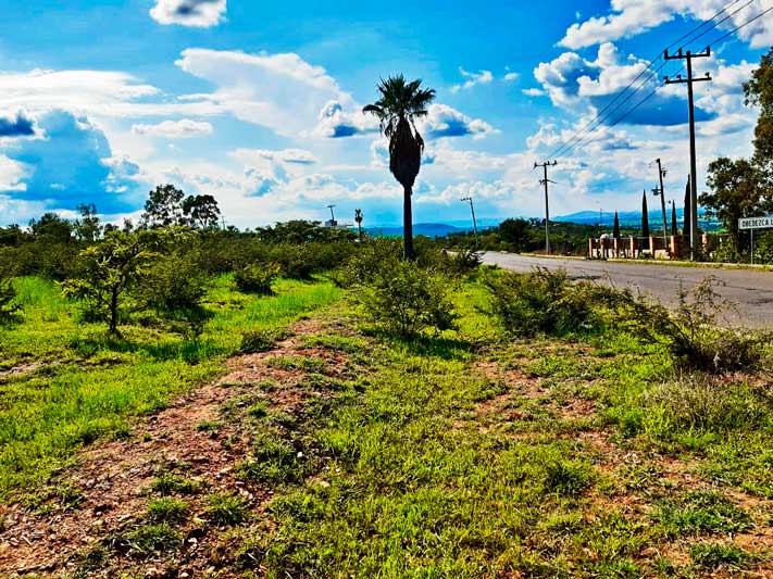 Lot for sale in Ixtlahuacan de los Membrillos