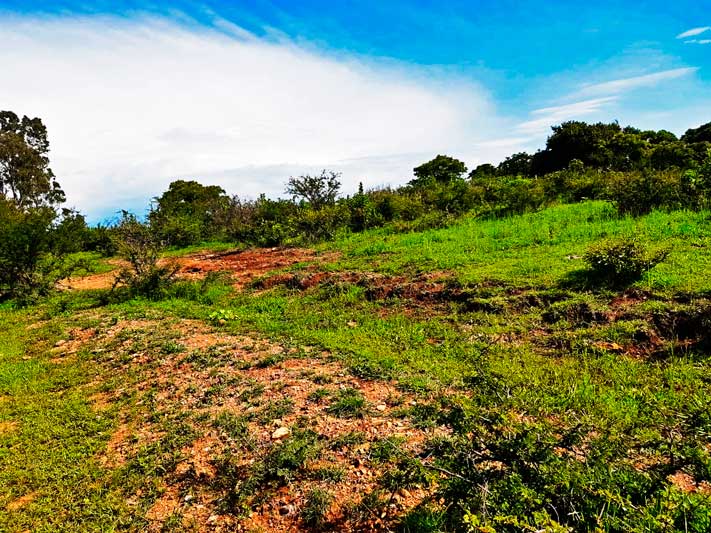 Lot for sale in Ixtlahuacan de los Membrillos