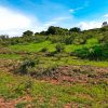 Lot for sale in Ixtlahuacan de los Membrillos