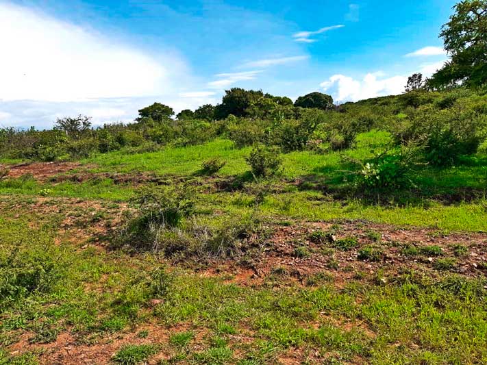 Lot for sale in Ixtlahuacan de los Membrillos
