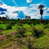 Lot for sale in Ixtlahuacan de los Membrillos
