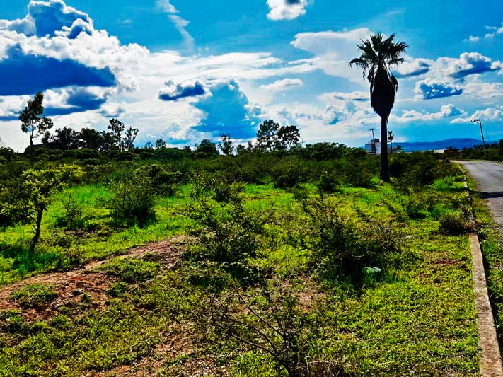 Lot for sale in Ixtlahuacan de los Membrillos
