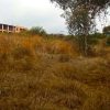 Lot for sale santa cruz de la soledad