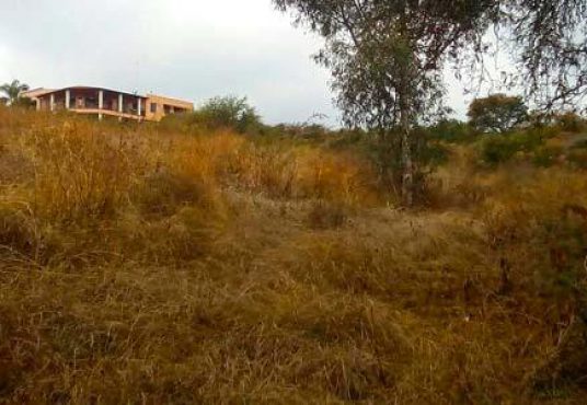 Lot for sale santa cruz de la soledad