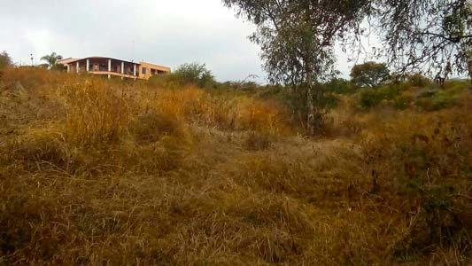 Lot for sale santa cruz de la soledad