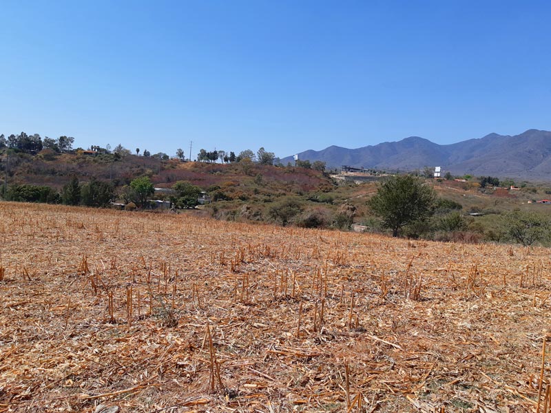 Home for sale in Chapala