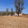 Home for sale in Chapala