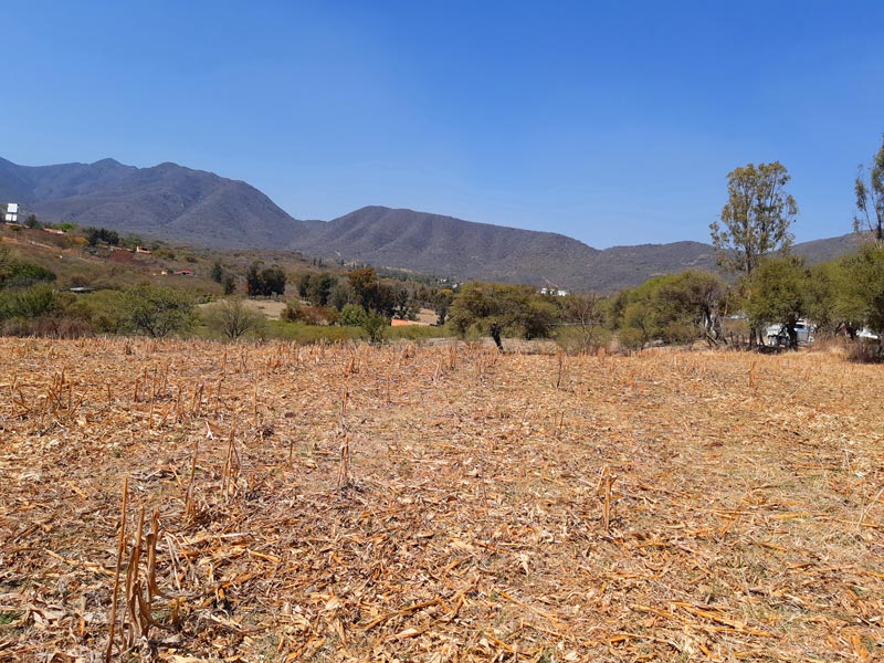 Home for sale in Chapala
