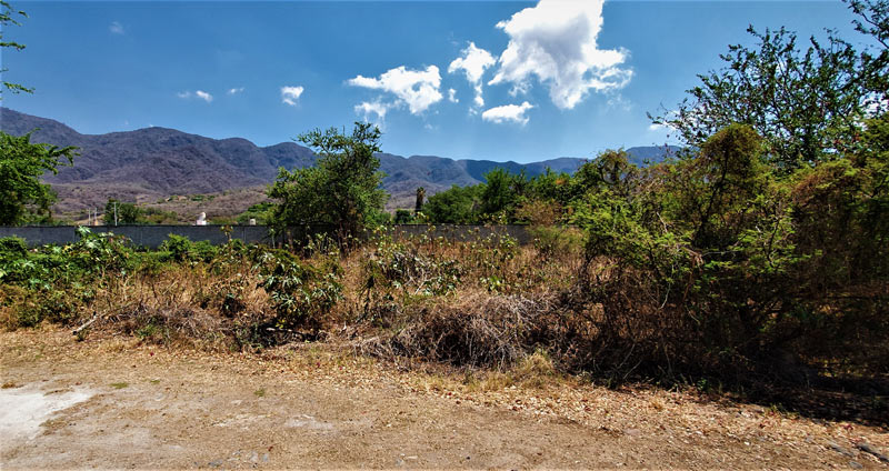 Lot For Sale in Ajijic