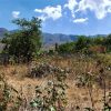 Lot For Sale in Ajijic