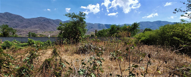 Lot For Sale in Ajijic