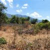 Lot For Sale in Ajijic