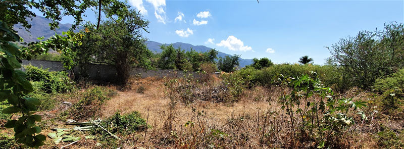 Lot For Sale in Ajijic