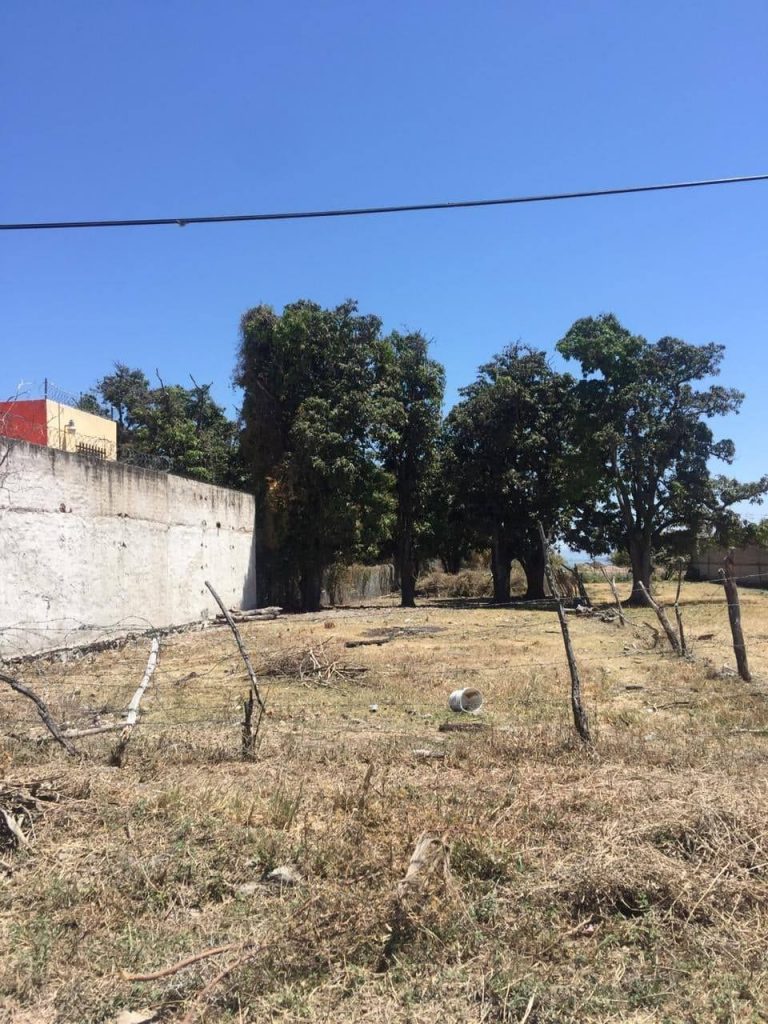 Lot for sale in Chapala