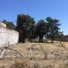 Lot for sale in Chapala