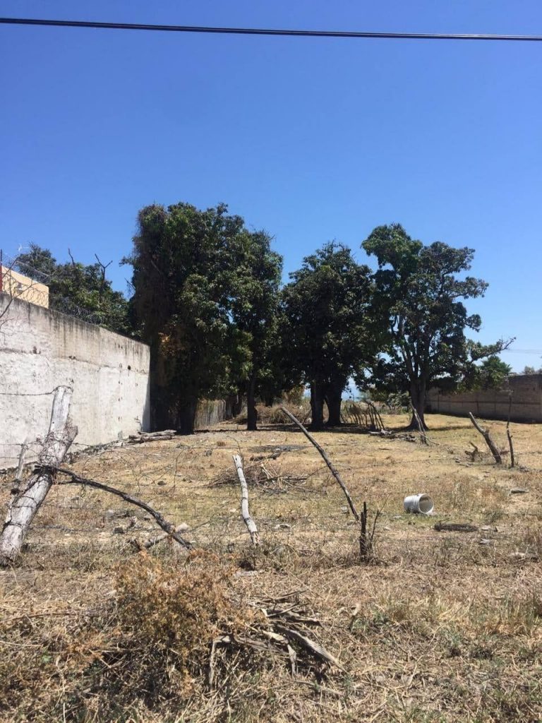 Lot for sale in Chapala