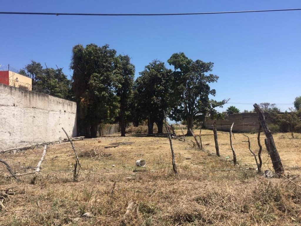 Lot for sale in Chapala