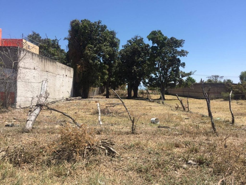 Lot for sale in Chapala