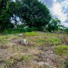 Home for sale in Chapala Haciendas