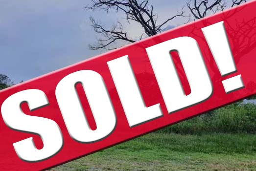 LOT FOR SALE IN CHAPALA