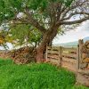 Lot for sale in San Luis Soyatlan