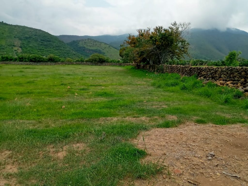 Lot for sale in San Luis Soyatlan