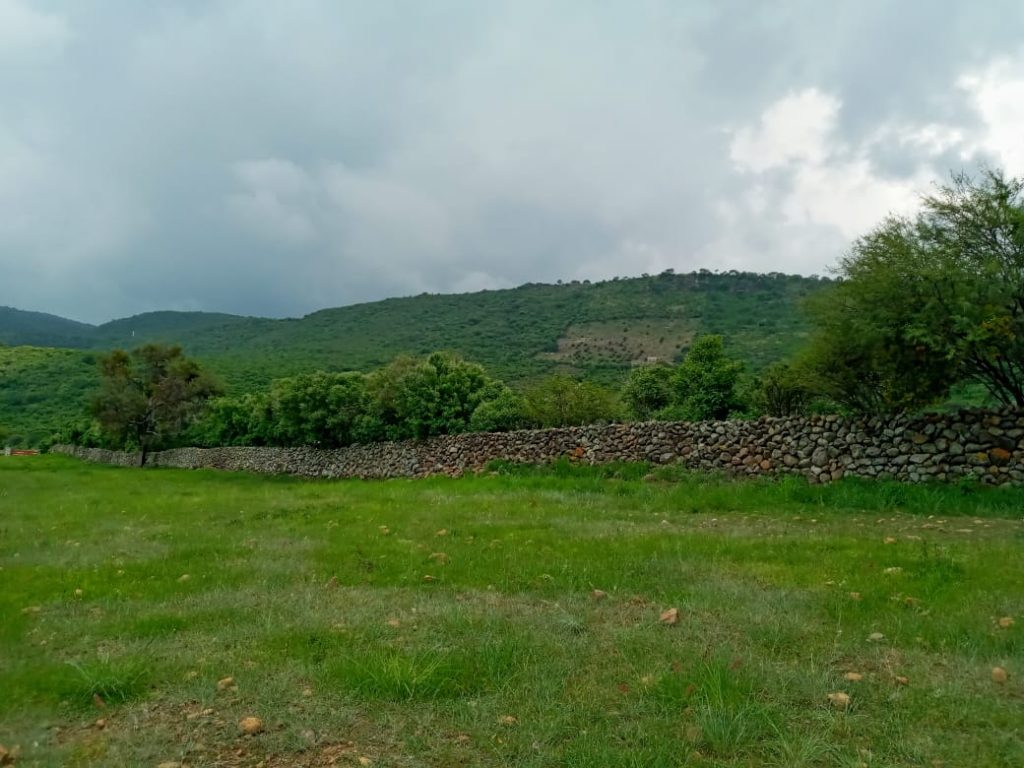 Lot for sale in San Luis Soyatlan