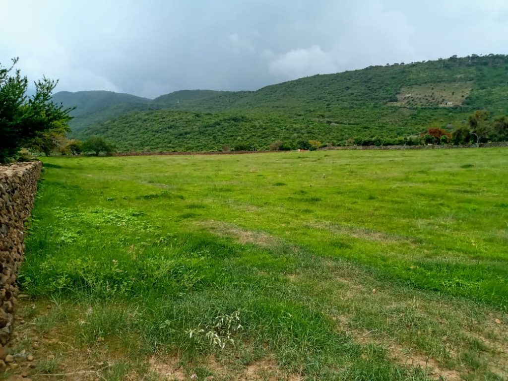 Lot for sale in San Luis Soyatlan