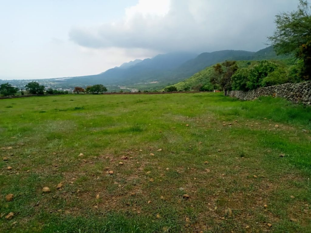 Lot for sale in San Luis Soyatlan