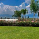 Home For Sale in San Juan Cosala