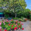 Home for Sale- Casa Norman Azul-San Antonio Tlayacapan