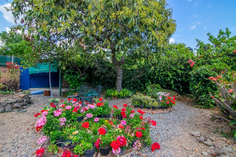 Home for Sale- Casa Norman Azul-San Antonio Tlayacapan