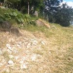 Lot For Sale in Chapala