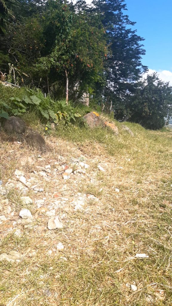 Lot For Sale in Chapala