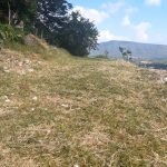 Lot For Sale in Chapala