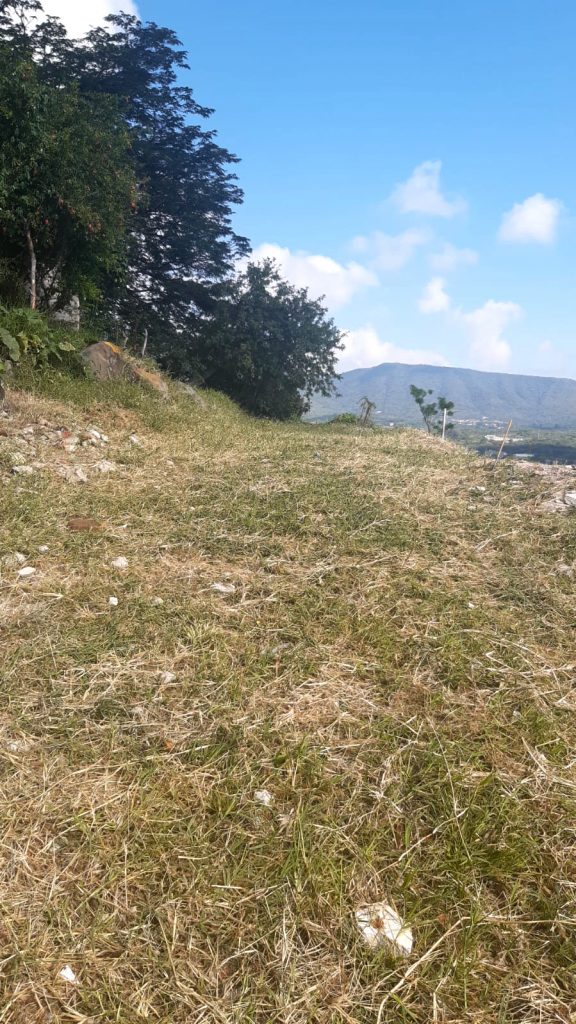 Lot For Sale in Chapala