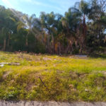 Lot For Sale in San Antonio